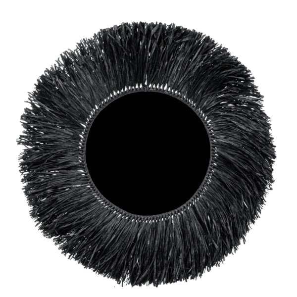 Lion Mane Mirror Black Kenya Lucidity
